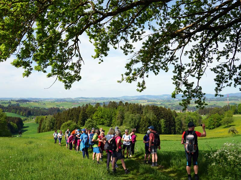 Granitpilgern am 27. April 2024 von Helfenberg nach St. Johann